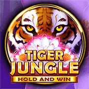 Nền tảng s8bet win an toàn và công bằng